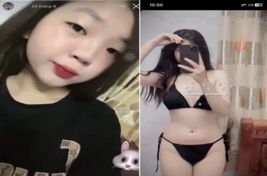 Thỏ khéo léo với con bướm nóng bỏng